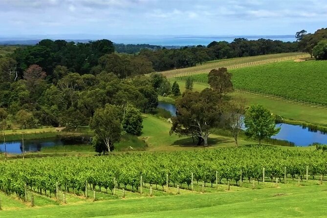 Private Mornington Wine Tour Small Group - Red Hill: another tasting stop, different vibe