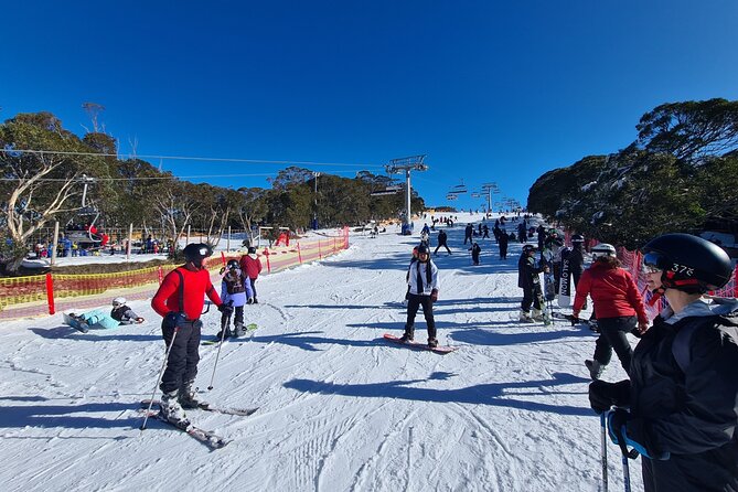 Private Mount Buller Snow and Ski Tour from Melbourne - Riding in Comfort: Your Melbourne-to-Mt Buller Transfer