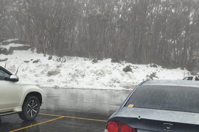 Private Snow Tour From Melbourne - Up to 14 Travellers - Small Touches That Make the Day Feel Thoughtful