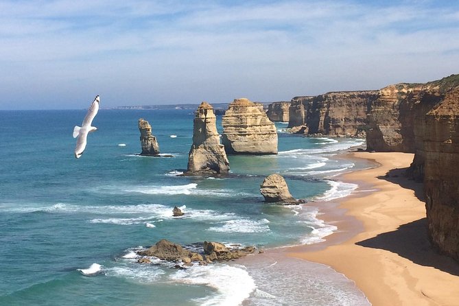 [PRIVATE TOUR] Express Great Ocean Road | Day Trip - Key things I’d plan around