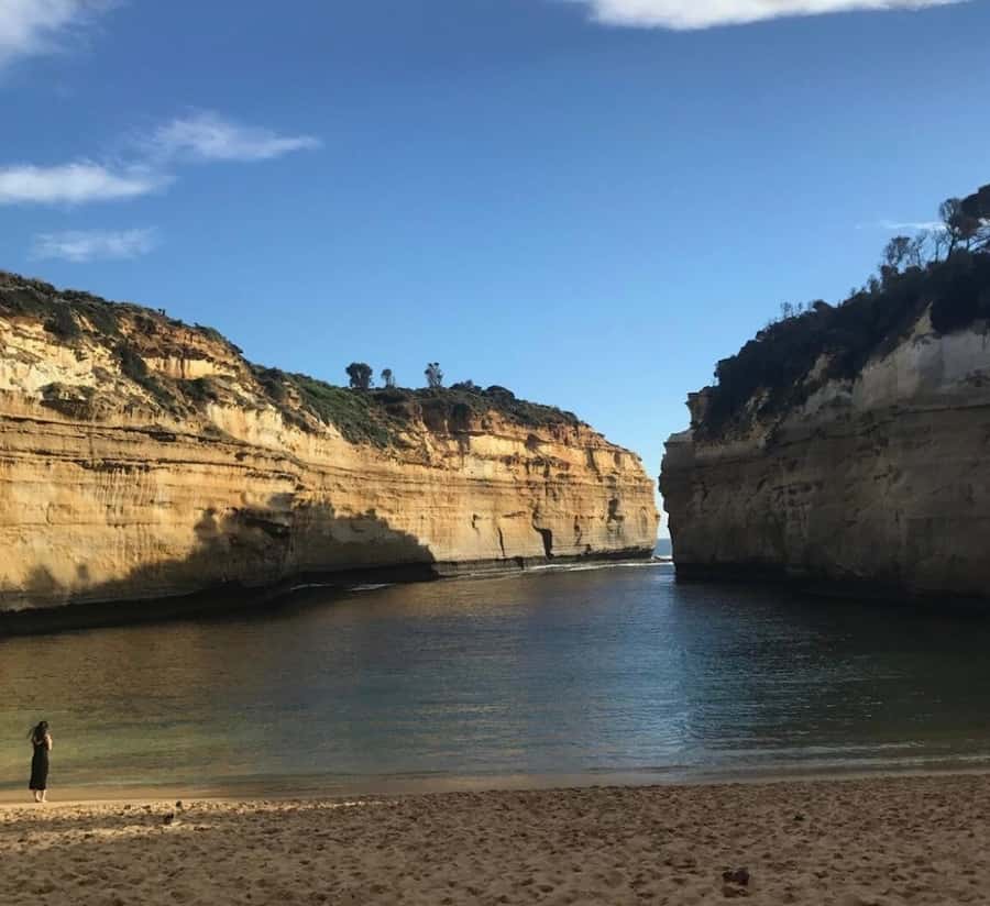 Private Tour: Great Ocean Road - Twelve Apostles - Wye River to Kennett River: the koala walk is the wildlife highlight