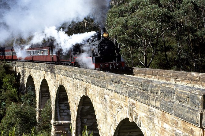 [Private Tour] Healesville Sanctuary Wildlife & Puffing Billy Steam Train - Two Parks, One Smooth Day: Wildlife Meets Puffing Billy