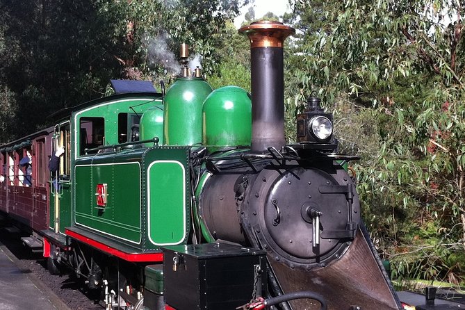 [Private Tour] Healesville Sanctuary Wildlife & Puffing Billy Steam Train - Weather, Comfort, and the Small Ways Guides Save the Day