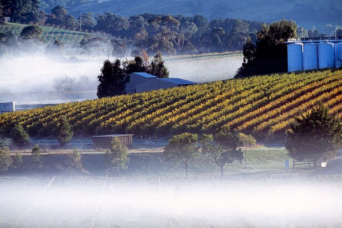 [Private Tour] Healesville Sanctuary Wildlife & Puffing Billy Steam Train - Timing: How to Think About the 8-Hour Rhythm