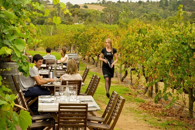 [PRIVATE TOUR] Mornington Peninsula Hot Springs | Winery & Sightseeing Tour - A full day that still feels relaxed (and why that matters)