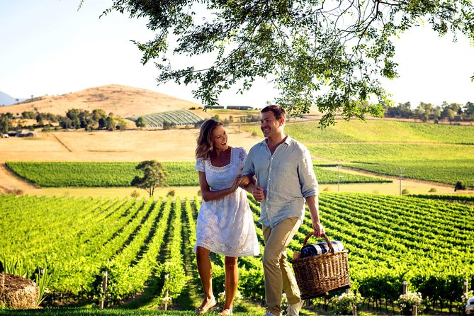 [PRIVATE TOUR] Mornington Peninsula Hot Springs | Winery & Sightseeing Tour - Price and value: what $537.93 per person includes (and who it fits)