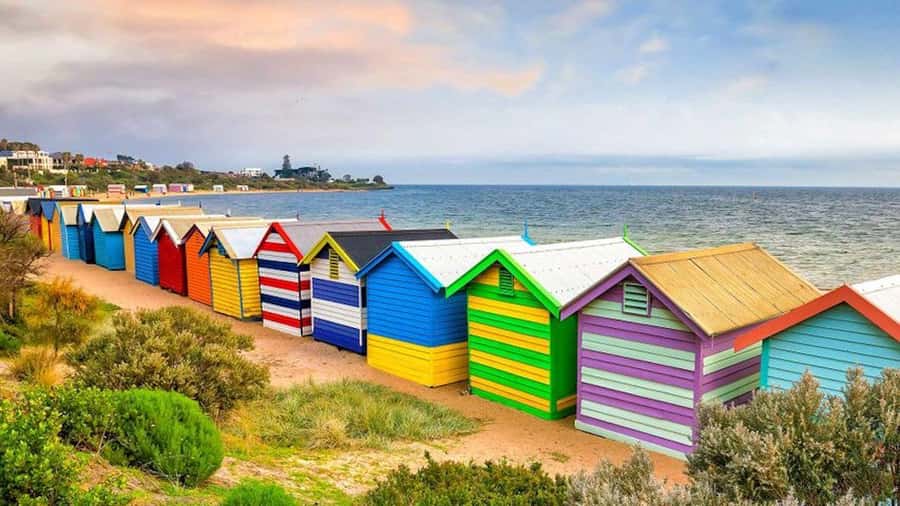 Private Tour: Mornington Peninsula Wine, Beer & Hotsprings - Price and value: is $530 for a group up to 6 a good deal?