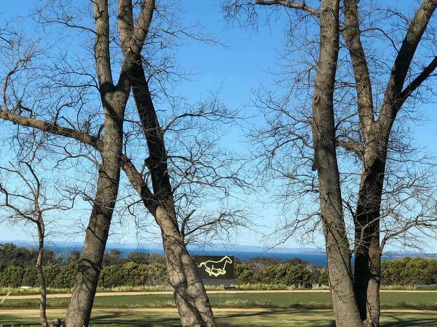 Private Tour: Mornington Peninsula Wine, Beer & Hotsprings - Private ride logistics: where the van fits into your day