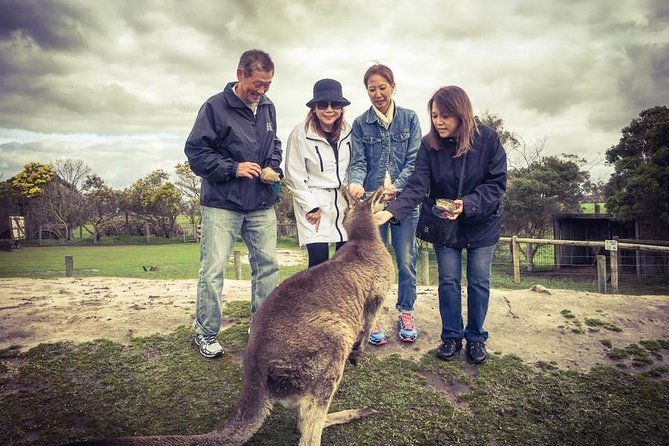 [Private Tour] “Penguin Parade” Phillip Island Tour. - Churchill Island: historic farm atmosphere plus a calmer break