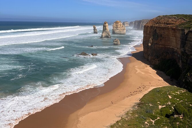 [Private Tour] “Penguin Parade” Phillip Island Tour. - How your guide shapes the whole day (including tips from Francois and Cam)