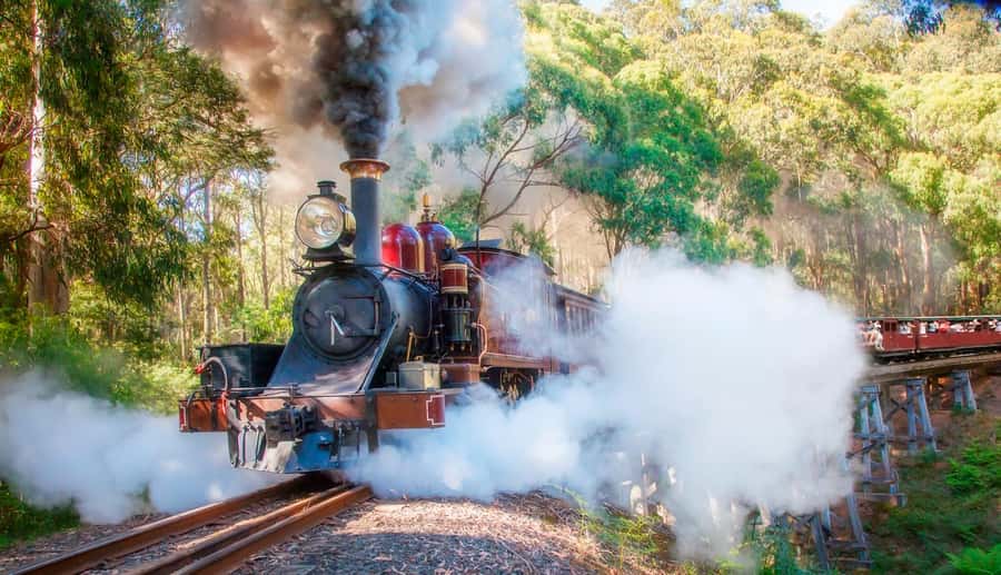 Private Tour to Dandenong Ranges & Puffing Billy Steam Train - The Dandenong Ranges Stops: Rainforest Mood, Lookouts, and Wildlife