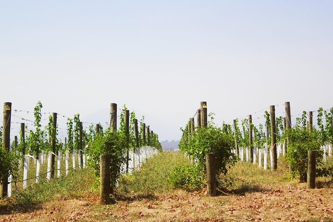 Private Tour: Yarra Valley Wineries with Wine Tastings - How the Private Driver-Guide Builds Your Custom Wine Stops