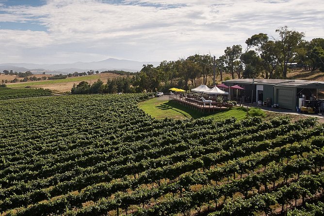 Private Tour: Yarra Valley Wineries with Wine Tastings - Who This Private Yarra Valley Wine Tour Suits Best