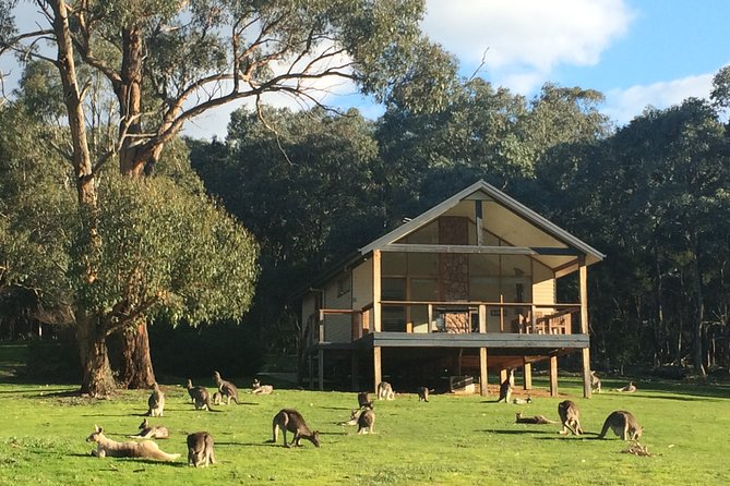 [PRIVATE TOUR] Yarra Valley Winery | Day Tour - Domaine Chandon: sparkling wine tasting with included admission