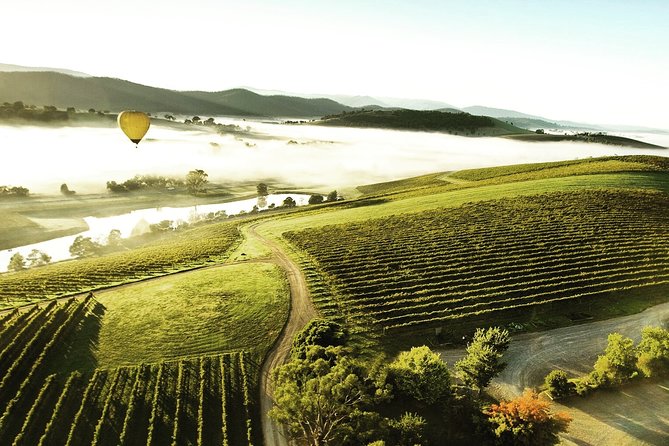 [PRIVATE TOUR] Yarra Valley Winery | Day Tour - Soumah: Italian-style wine making for a different flavor perspective