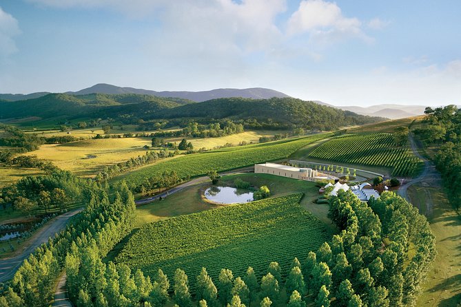 [PRIVATE TOUR] Yarra Valley Winery | Day Tour - Four Pillars Distillery: gin tasting that breaks up the wine focus