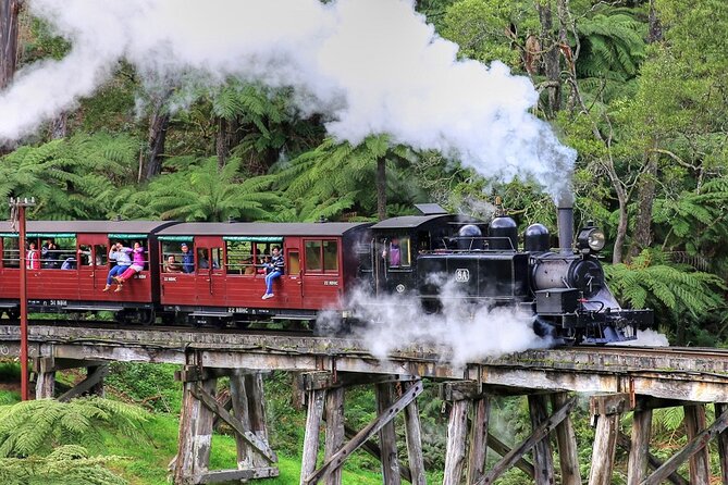 Puffing Billy And Healesville Sanctuary Scenic Tour - Key things to know before you go