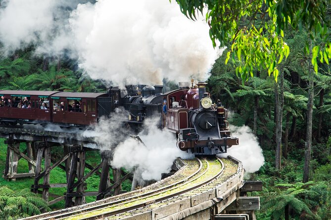 Puffing Billy And Healesville Sanctuary Scenic Tour - The train-ride experience: what to expect beyond the ticket