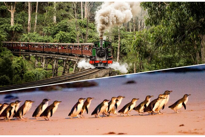 Puffing Billy and Penguin Parade Day Tour From Melbourne - Key Highlights I Think You’ll Care About