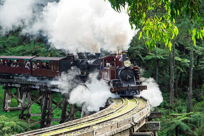 Puffing Billy And Phillip Island Penguin Parade Bus Tour - Key tour highlights at a glance