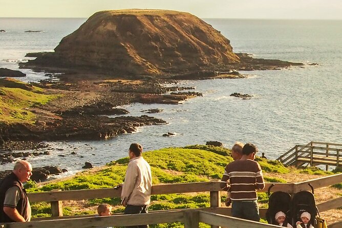 Puffing Billy And Phillip Island Penguin Parade Bus Tour - A full-day rhythm that actually makes sense from Melbourne