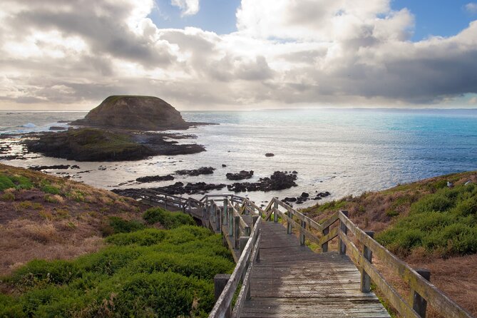 Puffing Billy And Phillip Island Penguin Parade Bus Tour - Lunch and timing: keep your expectations flexible