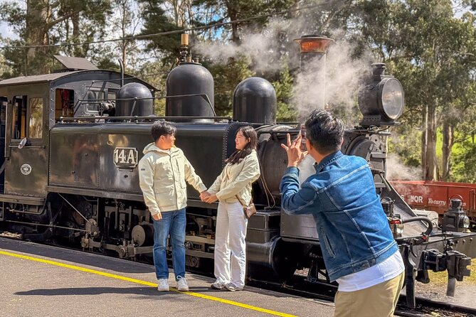 Puffing Billy, Forest Trails and Yarra Valley Discovery Tour - Why this Puffing Billy and Redwoods combo works