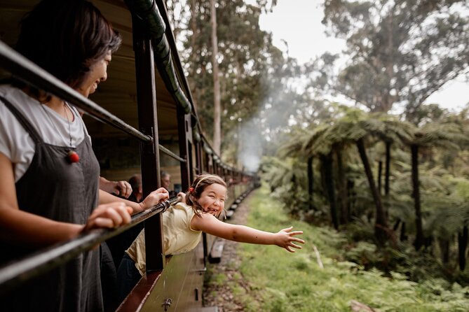 Puffing Billy, Forest Trails and Yarra Valley Discovery Tour - Stop 1: Puffing Billy Railway from Belgrave to Menzies Creek