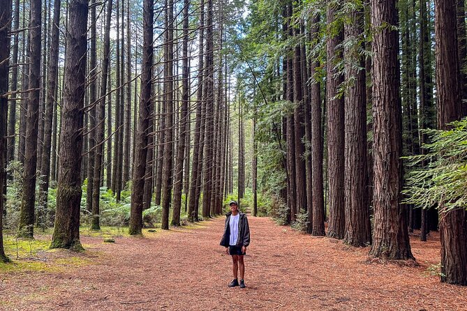 Puffing Billy, Forest Trails and Yarra Valley Discovery Tour - Value check: is $149.90 worth it?