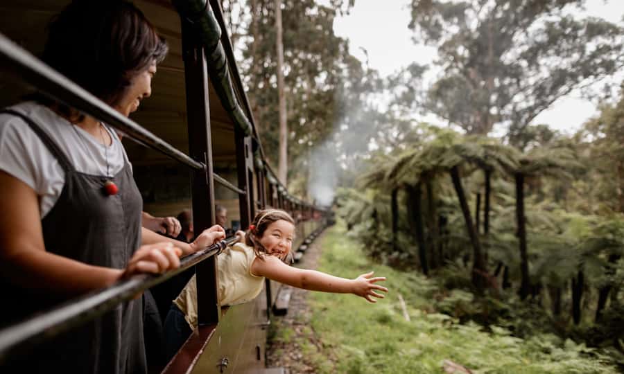 Puffing Billy, Forest Trails & Yarra Valley Discovery Tour - Steam Train Magic Meets Real-Day Touring