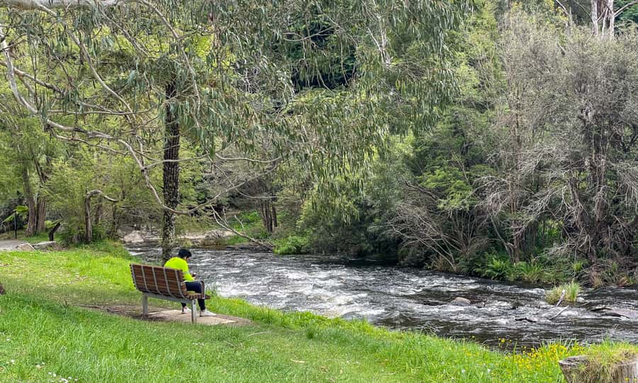 Puffing Billy, Forest Trails & Yarra Valley Discovery Tour - Yarra Valley Finish: Dessert, Wine Tasting, and a Local Treat