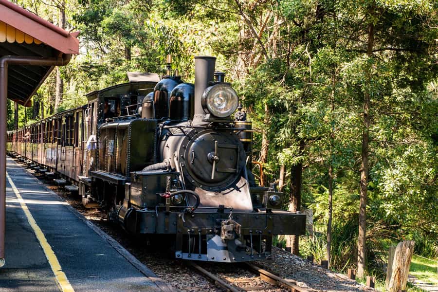Puffing Billy, Healesville Sanctuary & Chocolatier - Puffing Billy Steam Railway: Belgrave to Menzies Creek in 30 Minutes