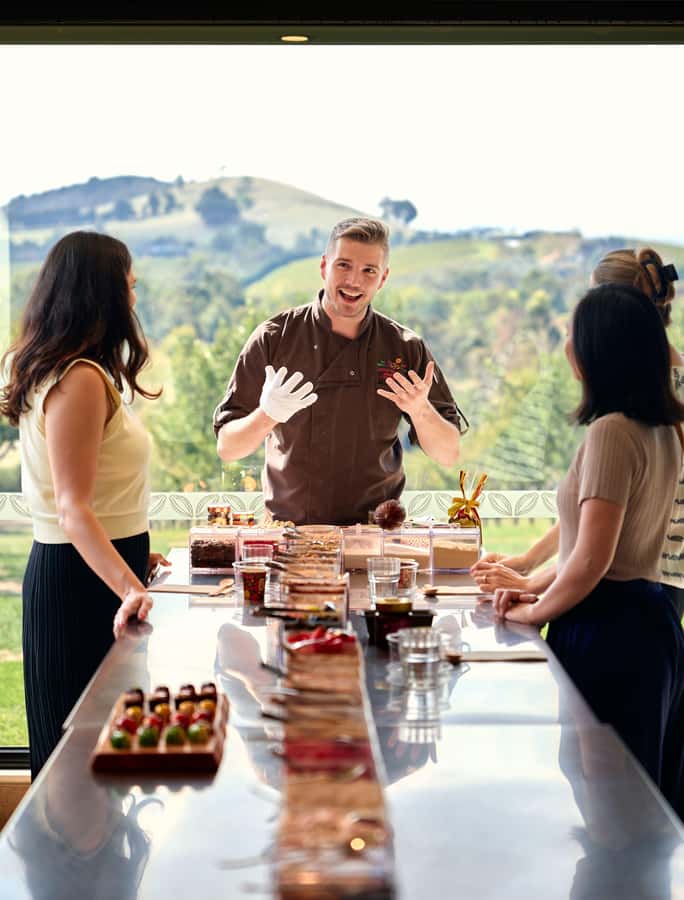 Puffing Billy, Healesville Sanctuary & Chocolatier - Practical Tips That Actually Help