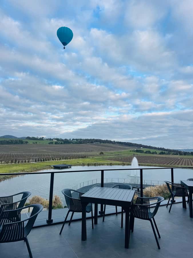 Puffing Billy Penguin Parade Winery Chocolaterie All-in-One - Best Fit: Who Will Love This Tour Most