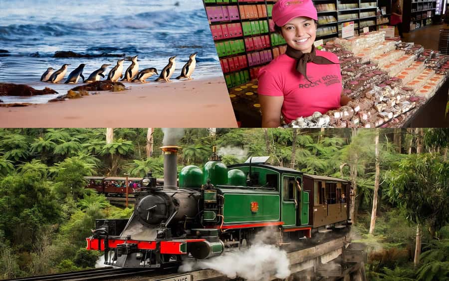 Puffing Billy Penguin Parade Winery Chocolaterie All-in-One - Melbourne Meeting Point and Why the Day Starts Early