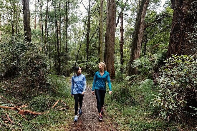 Puffing Billy & Rainforest Tour from Melbourne - Price and logistics: how the day runs from 8:00am to early afternoon