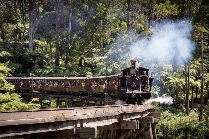 Puffing Billy & Rainforest Tour from Melbourne - Getting the most out of the day: seat choices, timing, and what to pack