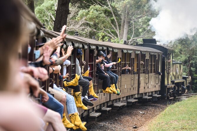 Puffing Billy Steam Train and Penguins Wildlife Tour - Key highlights worth knowing