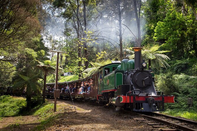 Puffing Billy Steam Train and Penguins Wildlife Tour - Phillip Island Penguin Parade at Sunset: How to Make the Most of 2 Hours