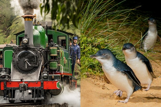 Puffing Billy Tour and Penguin Parade from Melbourne - Key things to know before you go