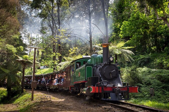 Puffing Billy Tour and Penguin Parade from Melbourne - Cape Woolamai and Cowes: what changes in summer