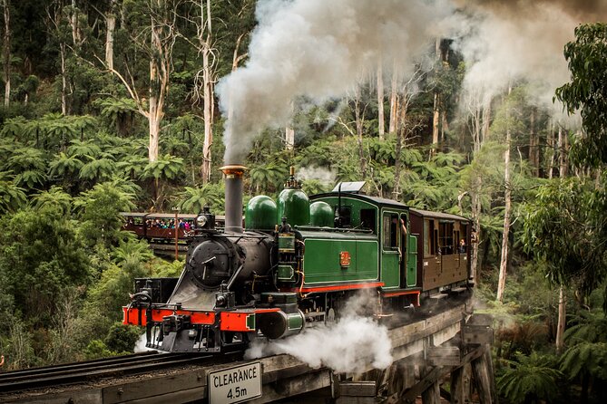 Puffing Billy Train and Phillip Island Penguin Parade Day Tour - Quick Hits Before You Go