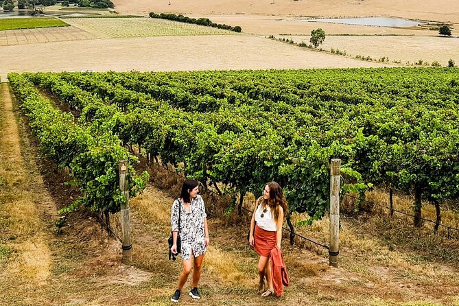 Relaxed Half Day Yarra Valley Wine Tasting Tour from Melbourne - Why This Half-Day Yarra Valley Tour Works So Well
