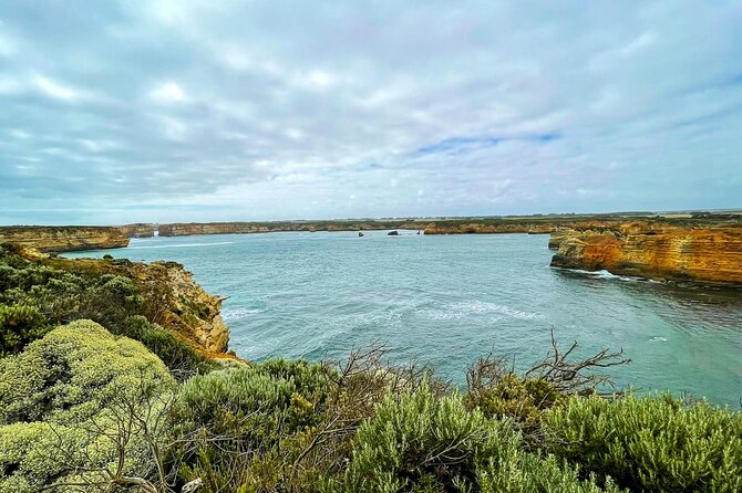 Scenic Great Ocean Road Discovery Tour - Iconic Coastal Wonders - Apollo Bay for about an hour: where to plan your lunch