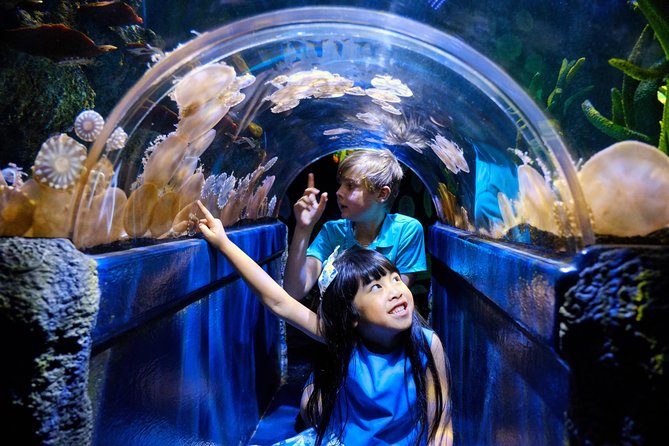 SEA LIFE Melbourne Aquarium Admission Ticket - Self-guided route through themed zones: where to start for the best flow