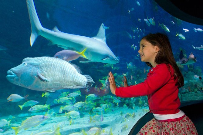 SEA LIFE Melbourne Aquarium Admission Ticket - Antarctica meets Penguin Playground: the icy-slide highlight