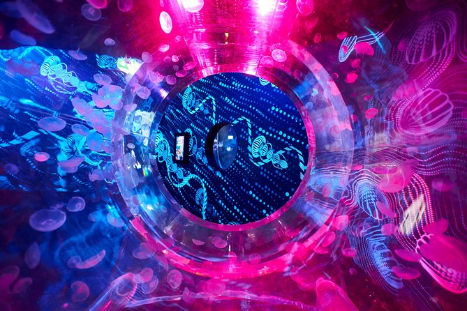 SEA LIFE Melbourne Aquarium Admission Ticket - Feedings, expert talks, and the 4D short film: the story layer