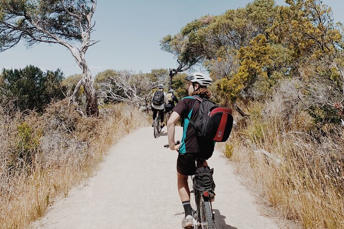 Self-Guided Point Nepean National Park Bike Hire - Stop 1: Bayplay bike pickup and what to check before you roll