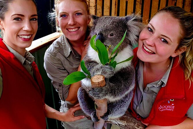 Shore Excursion Melbourne, Sights, Kangaroos, Koalas Lunch & Wine - What the included items really add up to