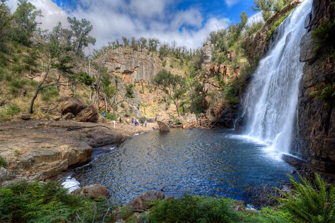 Small-Group Grampians Great Wildlife Escape Day Trip with Hiking - Wildlife Spotting: Kangaroos Are the Headliners